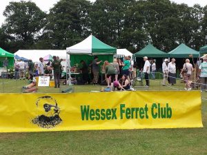 The Wessex Ferret Club